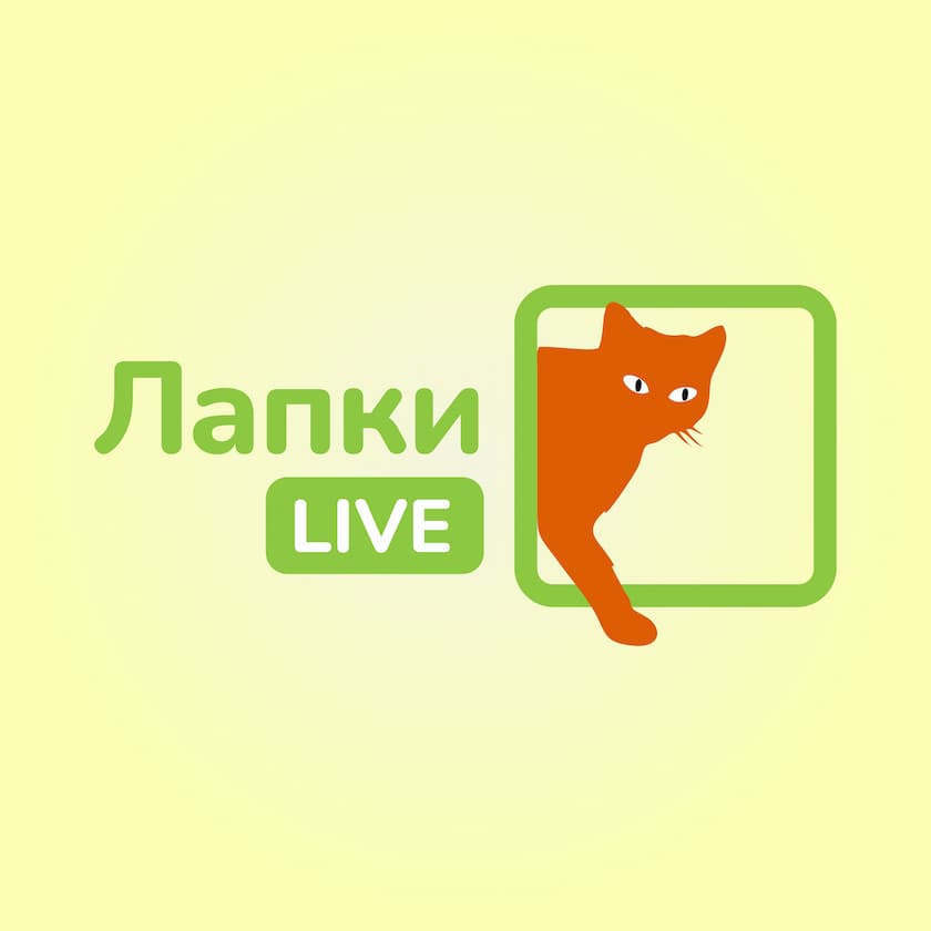 логотип канала Лапки Live